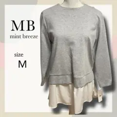 Item thumbnail for item 5a3384e2-ec9f-479f-bd74-004d2cfac8c8