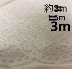 Item thumbnail for item 10cef158-4577-4585-a3b0-8de5b4f1e01f