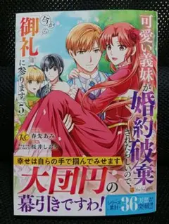可愛い義妹が婚約破棄されたらしいので、今から「御礼」に参ります。 5