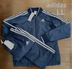 Item thumbnail for item 53b72b95-545c-4ea6-ace4-8debdcfabc06