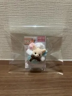 【24時間限定SALE】フェネックの赤ちゃん　ポップコーン