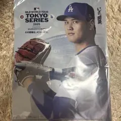 大谷翔平 クリアファイル　JAL