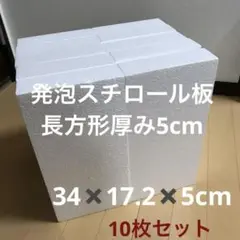 発泡スチロール　34✖️17.2✖️5cm 板状　10枚セット　工作　模型