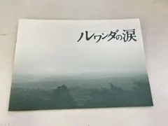 P875 パンフレット　ルワンダの涙　映画　チラシ