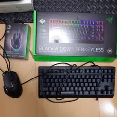 Razer BlackWidowV3 Tenkeyless&BasiliskV3