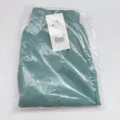 Item thumbnail for item df4dc06a-7112-4c8d-aec7-357fd4d38e9b