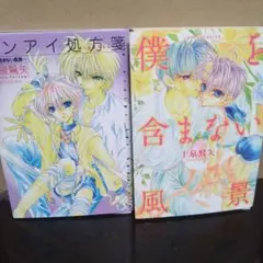 【裁断済】レンアイ処方箋＆僕を含まない風景　2冊セット