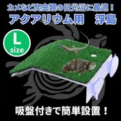 Item thumbnail for item b7ff03be-930a-4f6c-bfc3-47a000928110