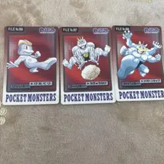 ワンリキー、ゴーリキー、カイリキー