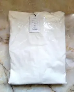 Item thumbnail for item 907b5089-e8b9-459c-ab8c-27d0795e2015