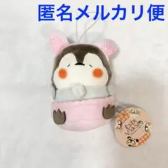 もふもちどうぶつ　マスコットぬいぐるみ　うさぎ