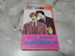 フラジールな関係 ふゆの仁子 アイスノベルズ