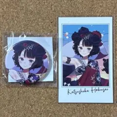 Fate/GrandOrder 葛飾北斎 缶バッジ・ポートレイト2点セット