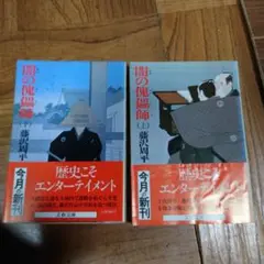 闇の傀儡師 (上・下) 藤沢周平