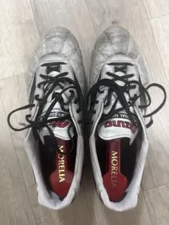 MIZUNOモレリア2JAPAN