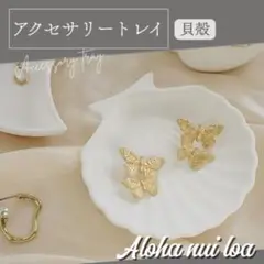 アクセサリートレイ 貝殻 シェル 小物入れ 卓上 インテリア おしゃれ ホワイト