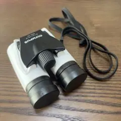 Item thumbnail for item b7a74cdb-b550-475e-bd8d-5979bb86410b