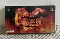 熱体地獄 激闘 バーニング・プロレス SFCソフト