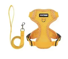 Item thumbnail for item 6f9814ae-a879-4bcd-b3e1-4281ec7ccf63
