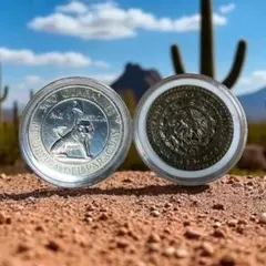 古銭　メキシコ貿易銀貨　1858年　約27g メキシコ貿易銀（めきしこぼうえきぎん） | 古銭価値一覧