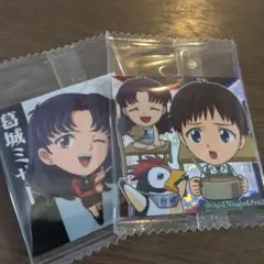 エヴァンゲリヲン 2個セット
