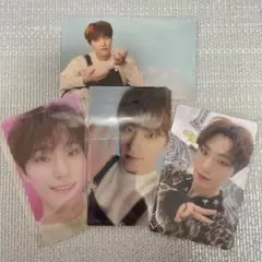 SEVENTEEN DREAM ディノトレカ