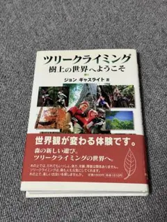 ツリークライミング 樹上の世界へようこそ
