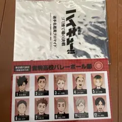 劇場版ハイキュー!! ゴミ捨て場の決戦
