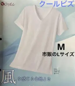 シャルレ　クールビズ　半袖　V首インナー