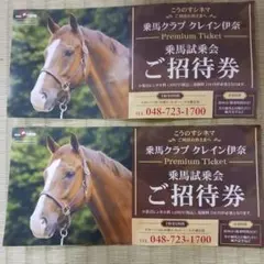 TK　クレイン乗馬クラブ　ジュニア会員騎乗回数券 m64006226457_1.jpg?1723782864