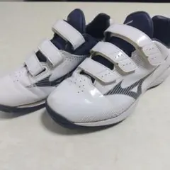 Item thumbnail for item 095571e0-6394-408c-af61-b2443b9c6565