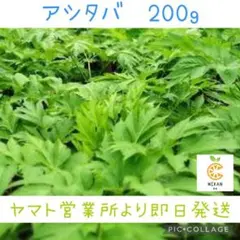 Item thumbnail for item 0be61c6e-26b4-4ec3-8dd1-6728b8f81bd5