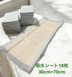 Item thumbnail for item 8e2305e8-d849-4eb4-b9d3-19ddded3008b