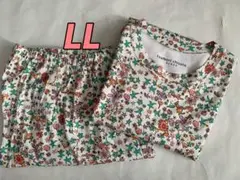 Item thumbnail for item 0564d4e6-f2f4-40e5-ac7b-683b13c2f241