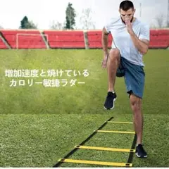 LICLI ラダー ハードルトレーニング