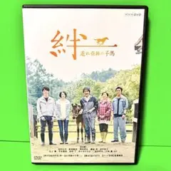 絆~走れ奇跡の子馬~ DVD 役所広司 /新垣結衣 送料無料 / 匿名配送