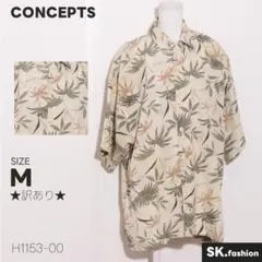 Item thumbnail for item 29d77792-8b3c-40a5-9f5a-bc5e979b400a