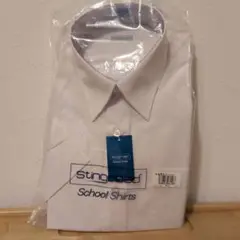 Item thumbnail for item 23d2a5a8-ca8b-4e68-8ebf-0522b184f5e6