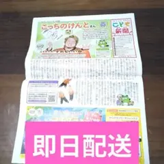 こども新聞 2025年7月号　こっちのけんと　コッチモフレンズ　即日配送 　割引