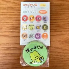 にしむらゆうじ 刺繍缶バッジ ぽけぽけかえる
