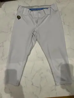 デサント ショートフィット ユニフォーム(練習着)