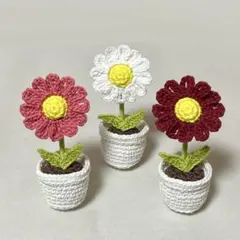 【SALE】あみぐるみ マーガレット 3個セット