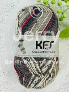 Opal毛糸: KFS梅村マルティナオパール毛糸 ラメ入り [銀鳩] 1玉