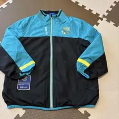 Item thumbnail for item c966f77f-f29c-4eda-969c-d81b26ed5f28