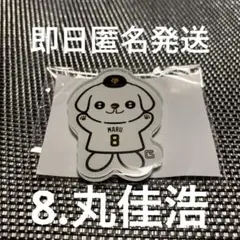 【丸佳浩】読売ジャイアンツ　パペット　マルチーズ　アクリルマグネット