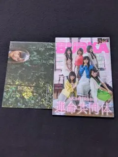 lycee 恋姫†無双 関羽 愛紗　psa9 本山美奈様直筆サイン入りカード Amazon.co.jp: lycee 恋姫†無双 関羽 愛紗 psa9 本山美奈様直筆