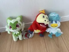 ポケモンぬいぐるみ　ニャオハ、ホゲータ、クワッス