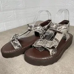 未使用 CAMINANDO サンダル 完売品 カミナンド パイソン レザー