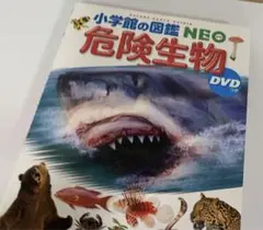 危険生物