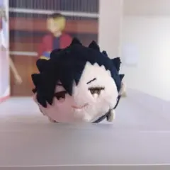 【即購入可】ハイキュー!!もちもちマスコットWA 黒尾鉄朗